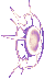 015959f2254f768b021831a67fb2d4ec_1790508878_5137.png